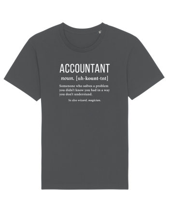 Accountant Anthracite