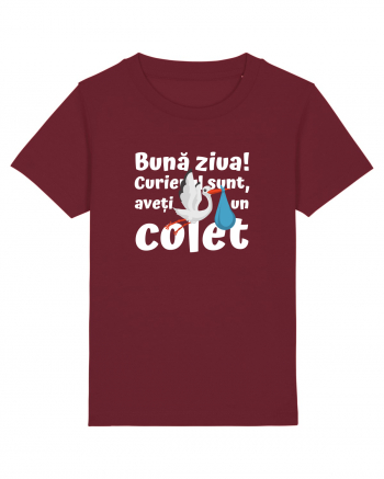 Curier Barză, aveți un colet.  Burgundy