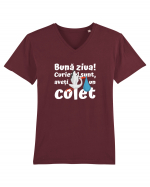 Curier Barză, aveți un colet.  Tricou mânecă scurtă guler V Bărbat Presenter