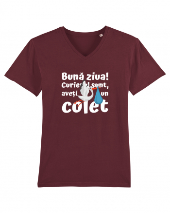 Curier Barză, aveți un colet.  Burgundy