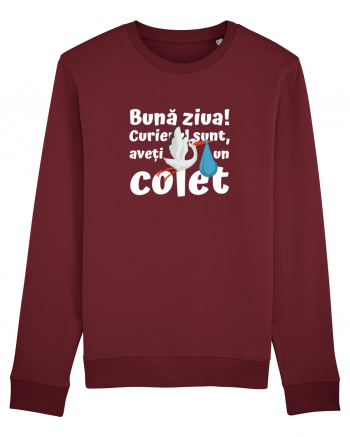 Curier Barză, aveți un colet.  Burgundy