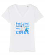 Curier Barză, aveți un colet. (albastru, băiat)  Tricou mânecă scurtă guler V Damă Evoker