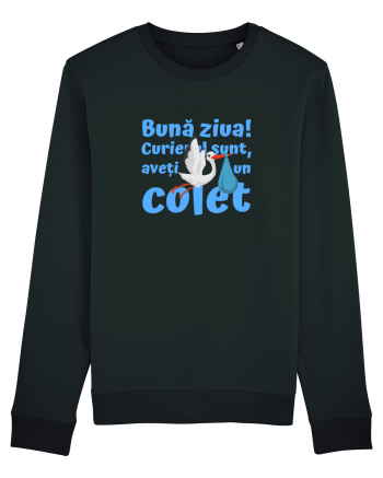 Curier Barză, aveți un colet. (albastru, băiat)  Black