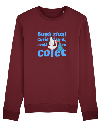 Curier Barză, aveți un colet. (albastru, băiat)  Burgundy