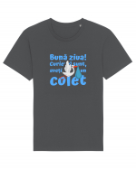 Curier Barză, aveți un colet. (albastru, băiat)  Tricou mânecă scurtă Unisex Rocker