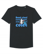 Curier Barză, aveți un colet. (albastru, băiat)  Tricou mânecă scurtă guler larg Bărbat Skater