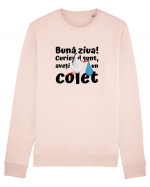 Curier Barză, aveți un colet. (negru)  Bluză mânecă lungă Unisex Rise