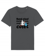 Curier Barză, aveți un colet. (negru)  Tricou mânecă scurtă Unisex Rocker