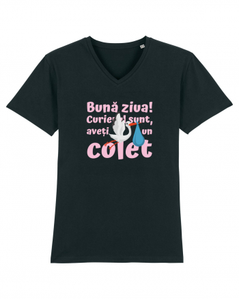 Curier Barză, aveți un colet. (roz, fetiță)  Black