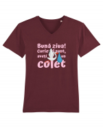 Curier Barză, aveți un colet. (roz, fetiță)  Tricou mânecă scurtă guler V Bărbat Presenter