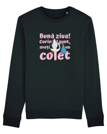 Curier Barză, aveți un colet. (roz, fetiță)  Black