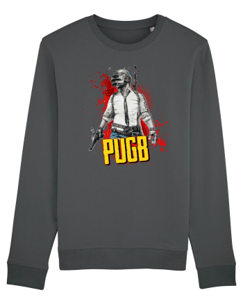 PUGB  Anthracite
