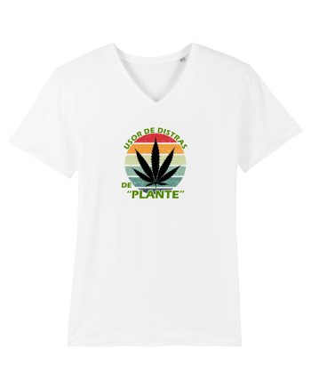 Usor de distras de plante White