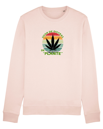 Usor de distras de plante Candy Pink