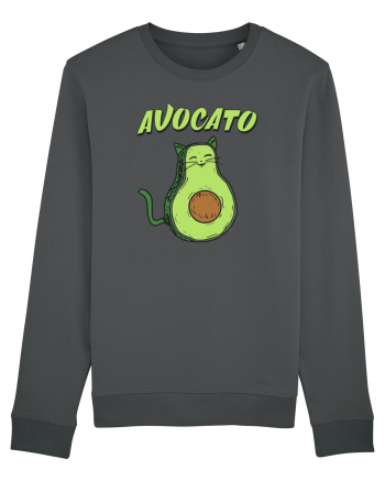 AvoCATo Anthracite