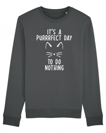 Purrrfect day to do nothing Anthracite