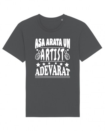 Asa arata un artist adevarat Anthracite