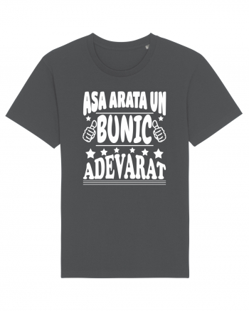 Asa arata un bunic adevarat Anthracite