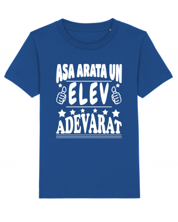 Asa arata un elev adevarat Majorelle Blue