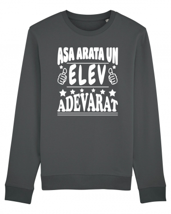 Asa arata un elev adevarat Anthracite