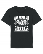 Asa arata un panicat adevarat Tricou mânecă scurtă Unisex Rocker