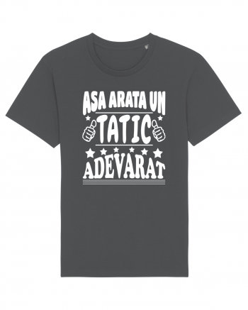 Asa arata un tatic adevarat Anthracite