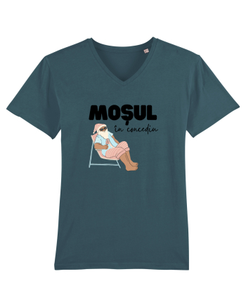 Moș Crăciun în Concediu Stargazer