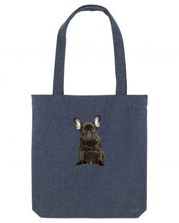 French bulldog Midnight Blue