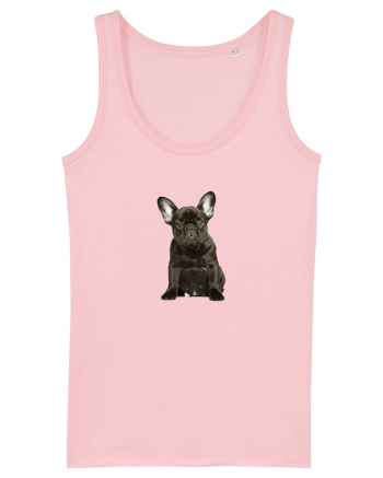 French bulldog Cotton Pink