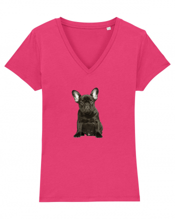 French bulldog Raspberry