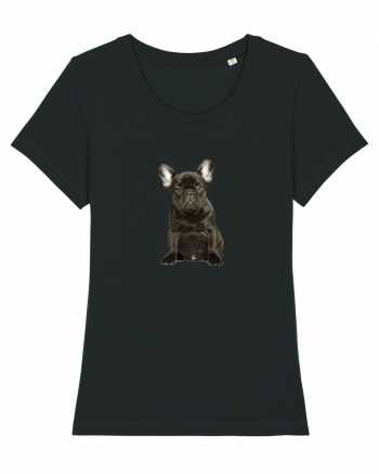 French bulldog Black