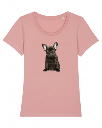 French bulldog Canyon Pink