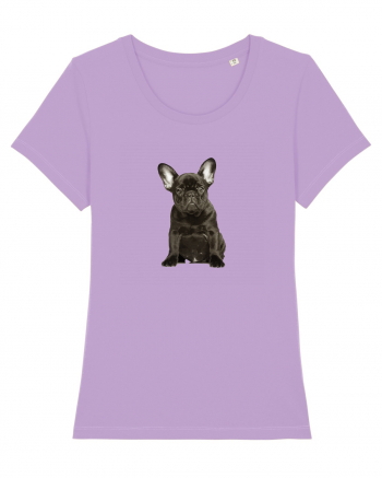 French bulldog Lavender Dawn