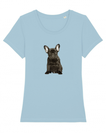 French bulldog Sky Blue