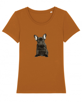 French bulldog Roasted Orange