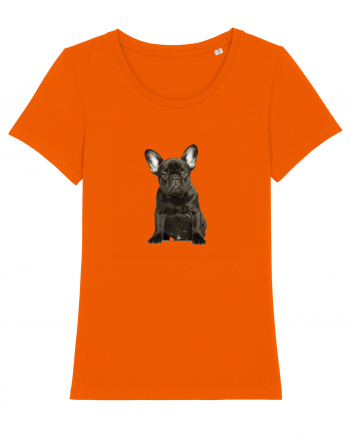 French bulldog Bright Orange