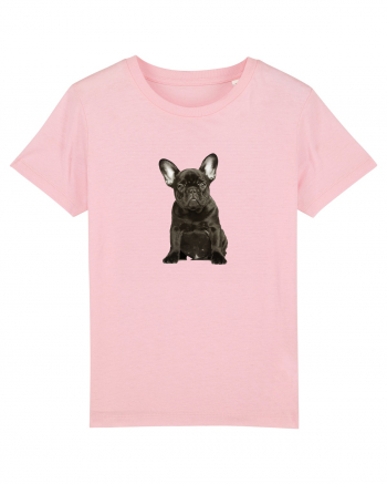 French bulldog Cotton Pink