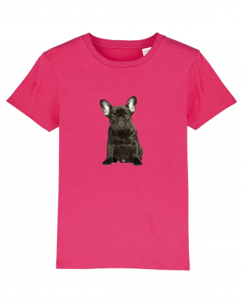 French bulldog Raspberry