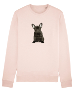 French bulldog Bluză mânecă lungă Unisex Rise