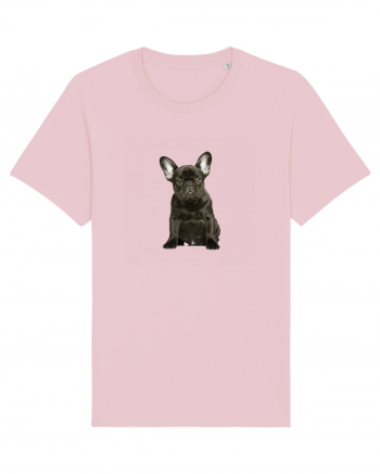 French bulldog Cotton Pink