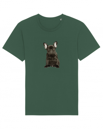 French bulldog Bottle Green