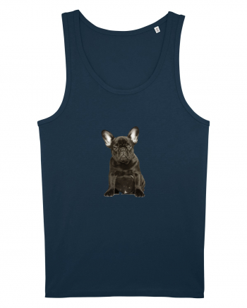 French bulldog Navy