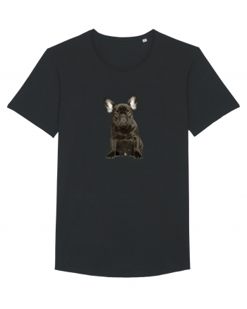 French bulldog Black