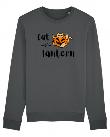 Cat - o '- lantern Anthracite