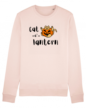 Cat - o '- lantern Candy Pink