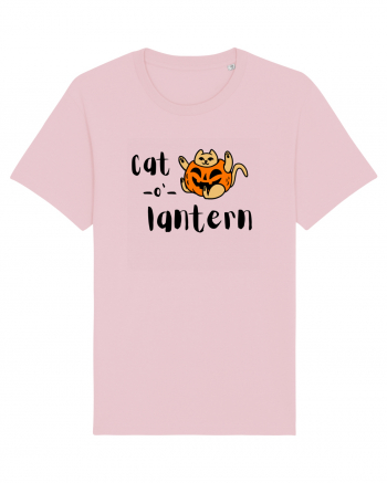 Cat - o '- lantern Cotton Pink