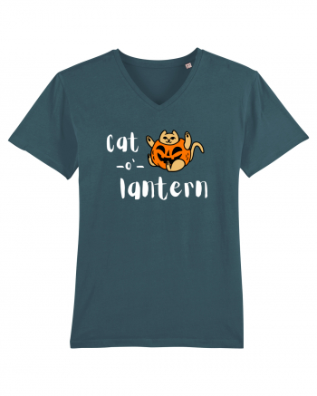 Cat - o '- lantern (alb)  Stargazer