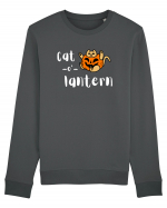 Cat - o '- lantern (alb)  Bluză mânecă lungă Unisex Rise