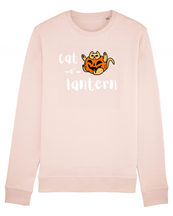 Cat - o '- lantern (alb)  Candy Pink