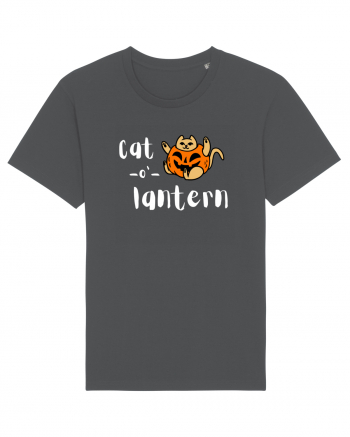 Cat - o '- lantern (alb)  Anthracite